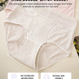 High-Waist Seamless Sculpt Panty (5 Pack)