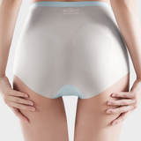 Seamless Ice-Silk High-Waist Tummy Control Panties (4 Pack)
