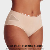 Sexy Seamless Mesh Cutout Panty (5 Pack)