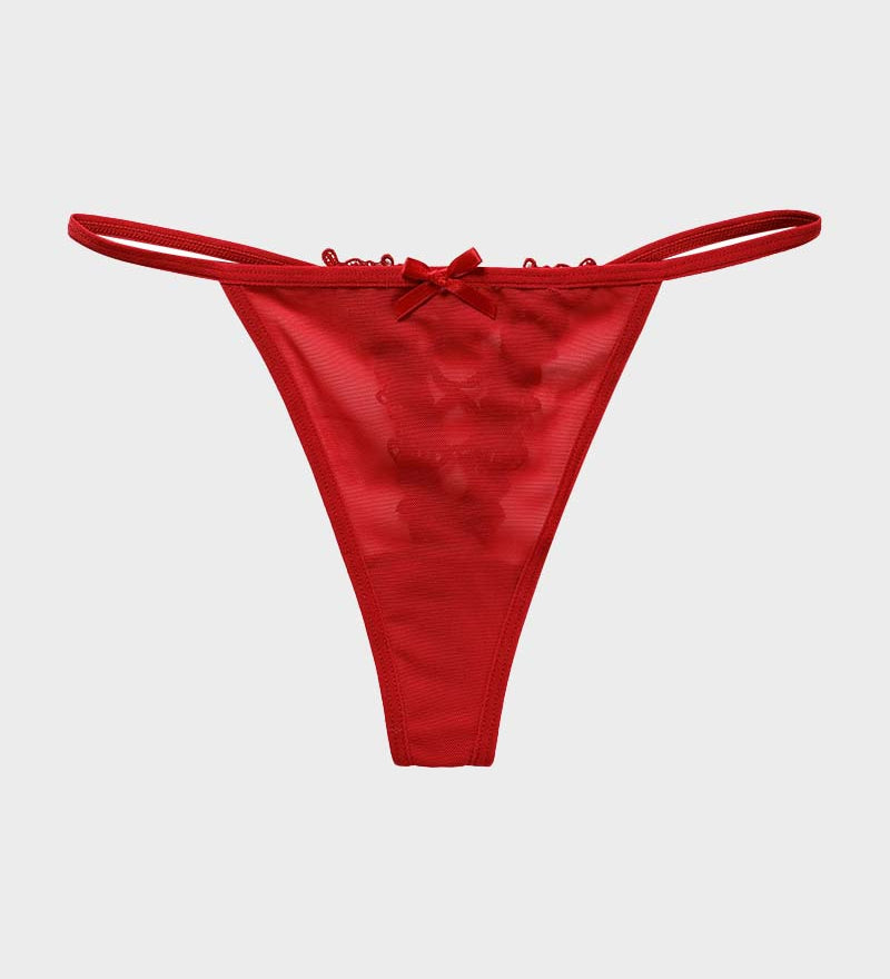 Lace-Trim Mesh V-String Panty